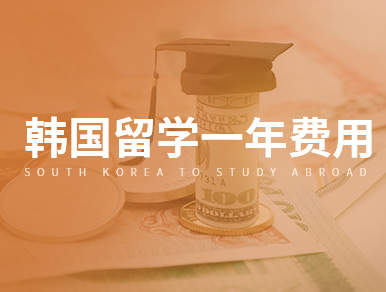 韩国留学一年的费用是多少钱？