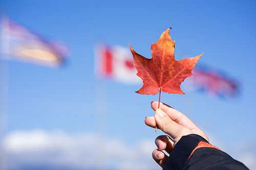 加拿大新入境及签证政策