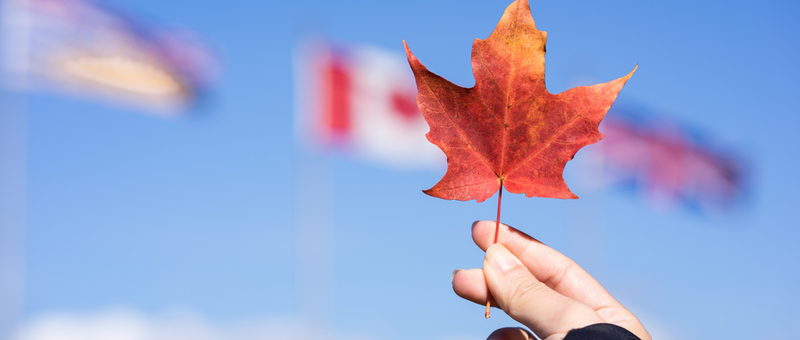加拿大留学有哪些热门专业？