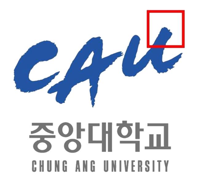 韩国中央大学 chung